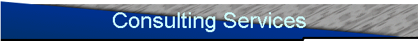 Consulting Services