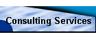 Consulting Services